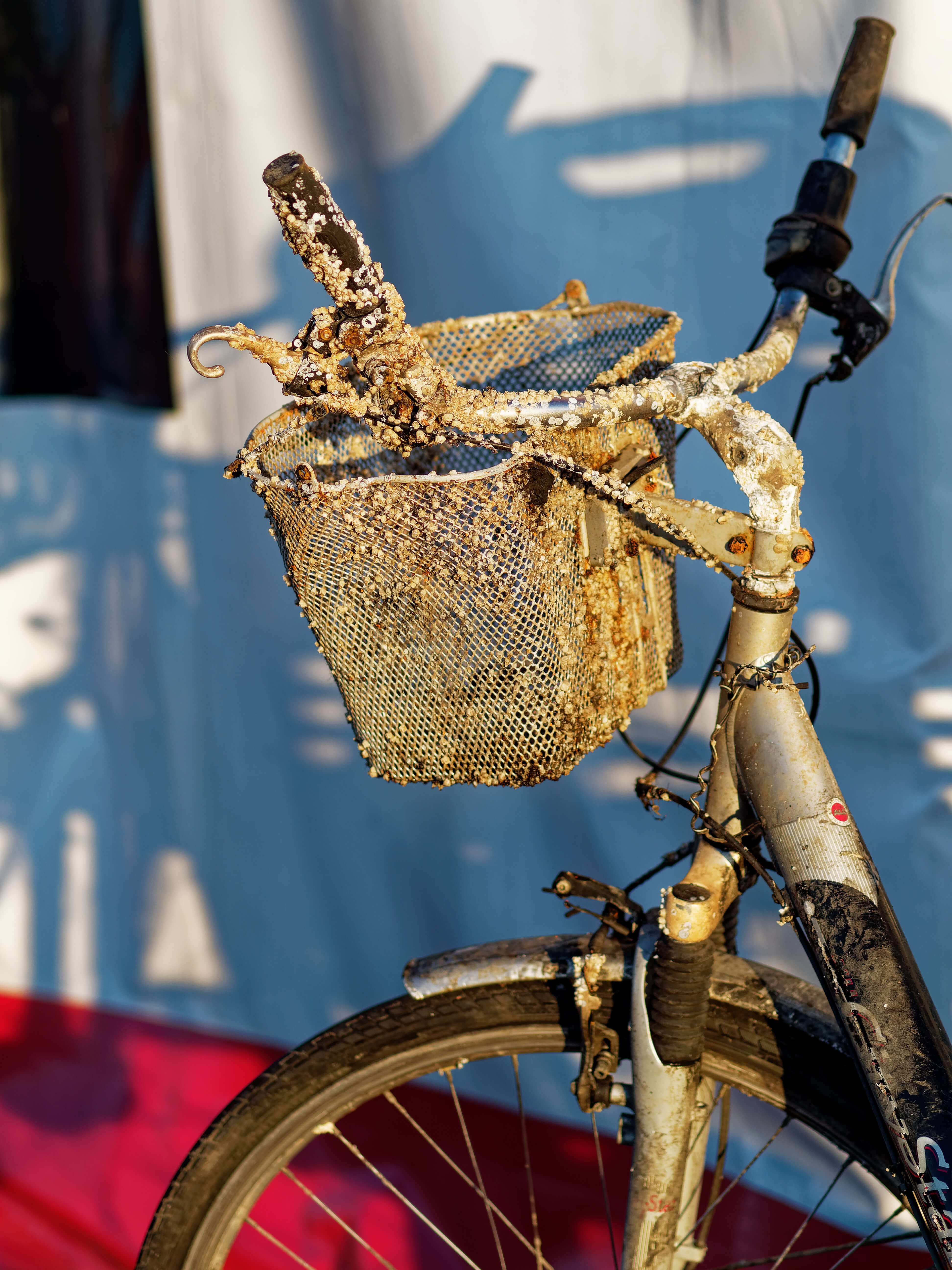rostiges Fahrrad