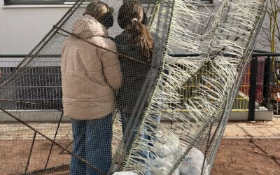 Plastikfreie Schulen